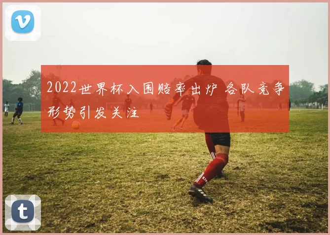 2022世界杯入围赔率出炉 各队竞争形势引发关注