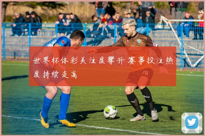 世界杯体彩关注度攀升 赛事投注热度持续走高