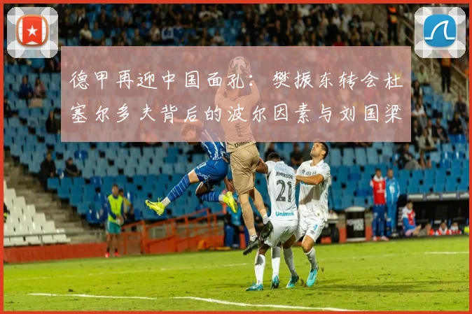 德甲再迎中国面孔:樊振东转会杜塞尔多夫背后的波尔因素与刘国梁的远见