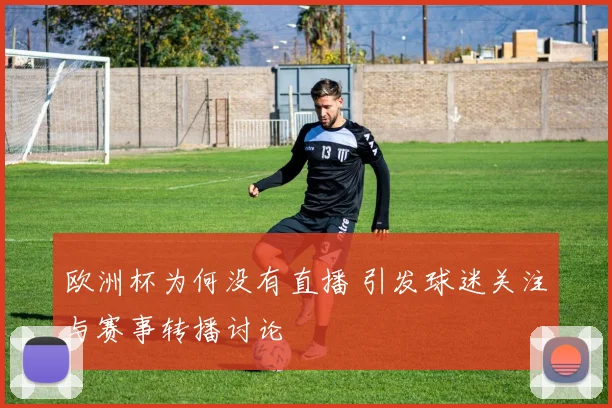 欧洲杯为何没有直播 引发球迷关注与赛事转播讨论